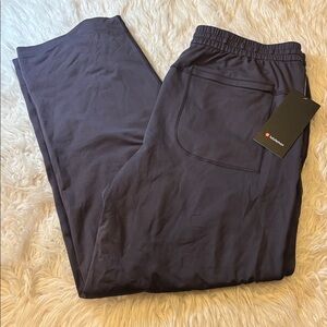 Lululemon Soft Jersey Jogger *Regular, Atmospheric Purple, Size XL